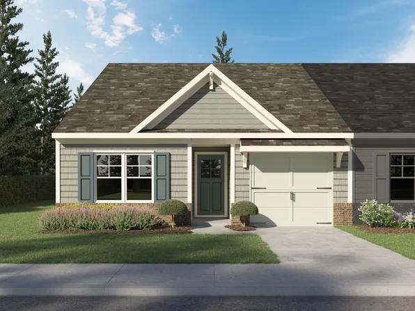 Acacia Plan, Silver Leaf