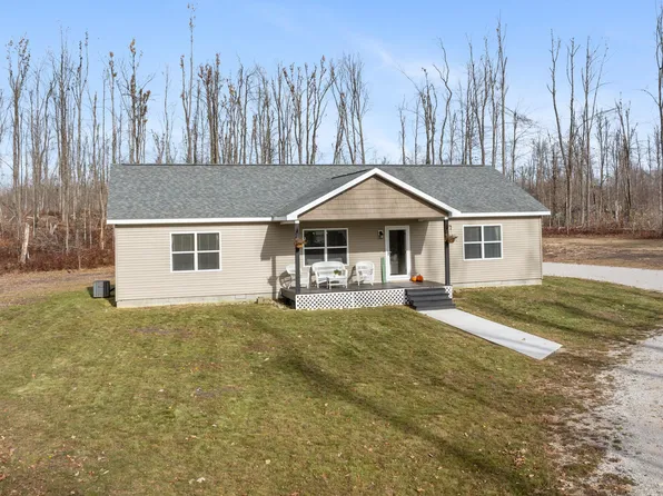 4338 Hallenius Rd, Gaylord, MI 49735