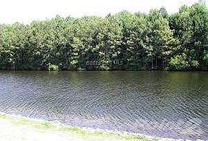 Pond View