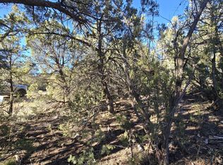 3503 Pine Rim Dr, Overgaard, AZ 85933