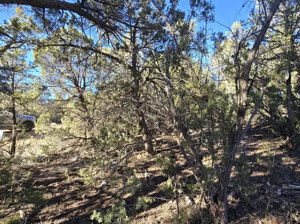 3503 Pine Rim Dr, Overgaard, AZ 85933