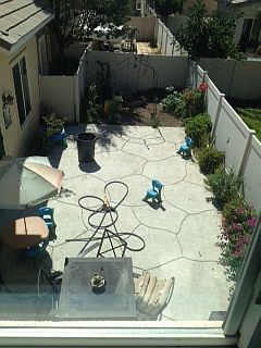 back yard