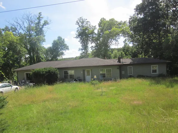 9896 S Ionia Rd, Bellevue, MI 49021