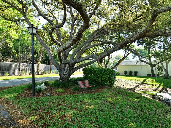 Nearby pond viewing area
