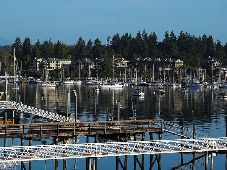 Eagle harbor views