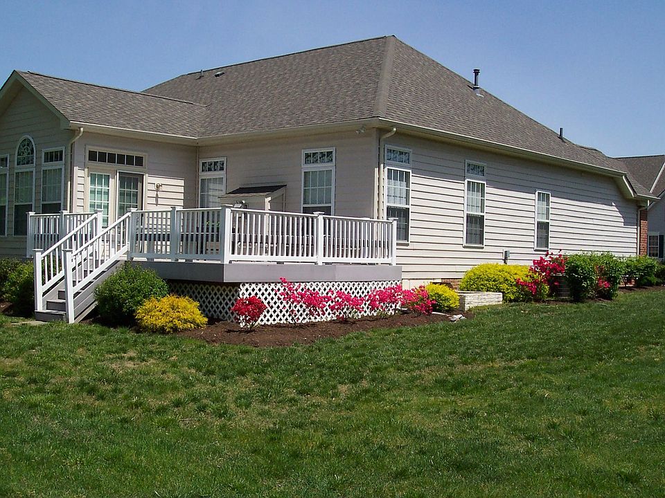 Rear View