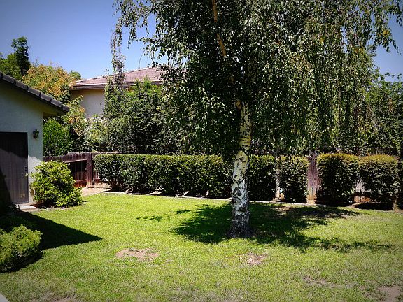 Backyard02