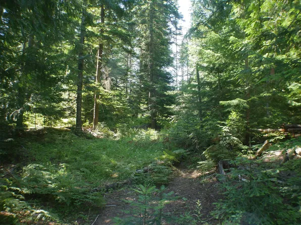 Gold Ridge Rd, Saint Maries, ID 83861