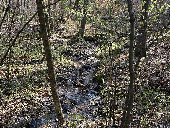 3rd image of Coosa County Road 70 #0