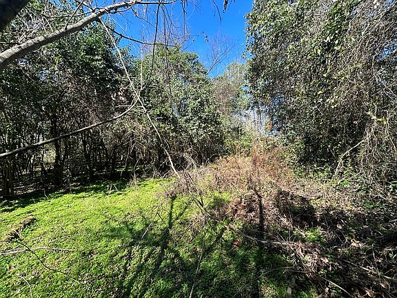 5th image of Ll204/26 Dot Harvey Rd