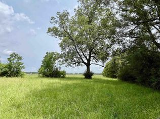5 Hokaday Rd, Slaughter, LA 70777