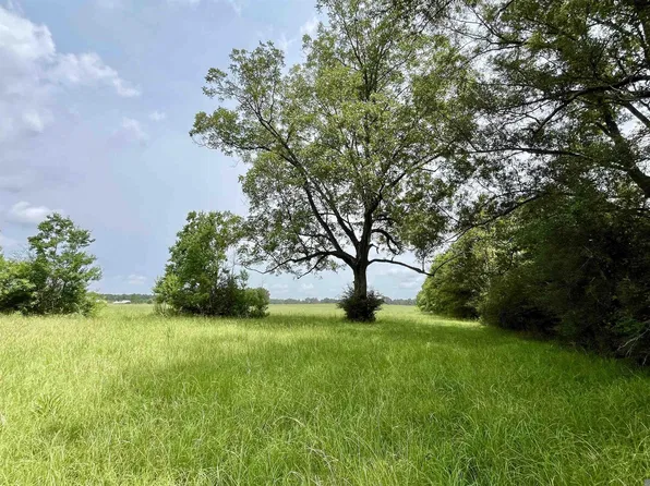 5 Hokaday Rd, Slaughter, LA 70777