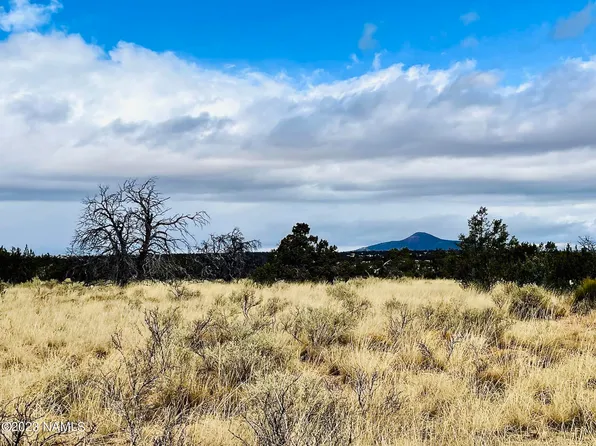 2307 E Woodland Ranch Rd, Williams, AZ 86046
