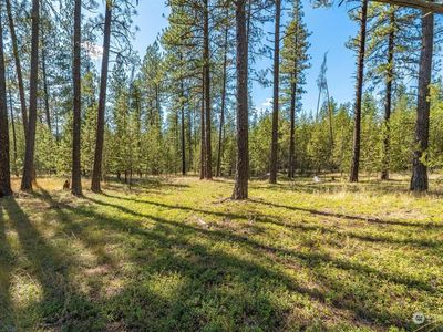 3792 E Jump Off Joe Road #P, Valley, WA, 99181
