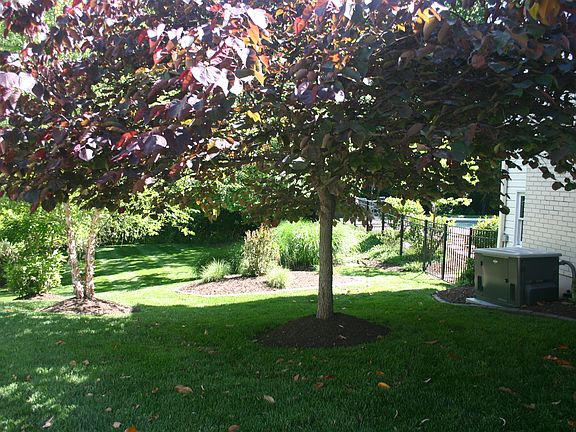 Side Yard