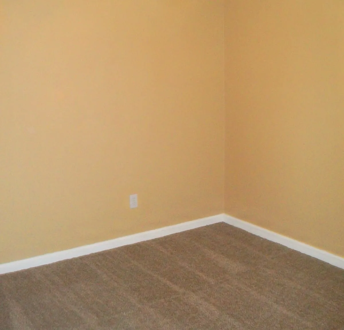 1168 Whispering Meadows Crowley TX — Photo 2