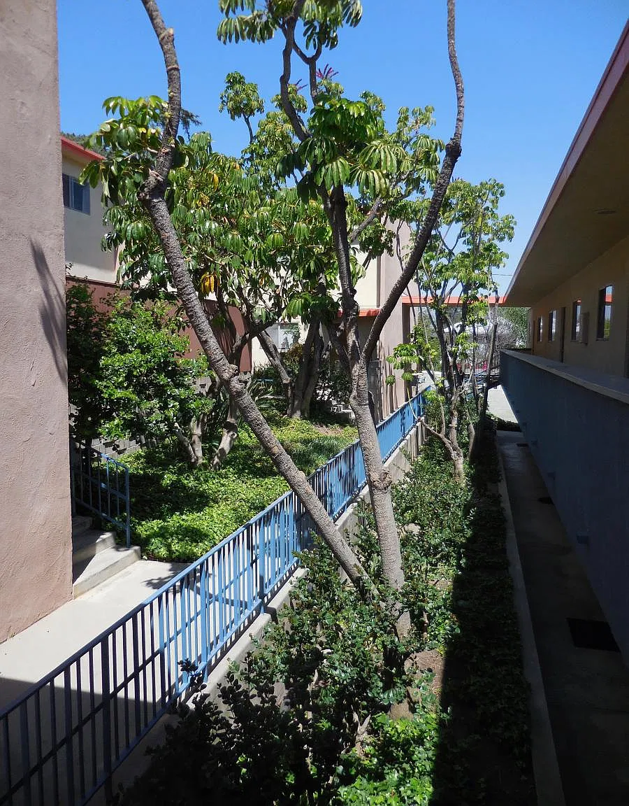 2 bed, 850 sqft, $2,995 — Photo 2