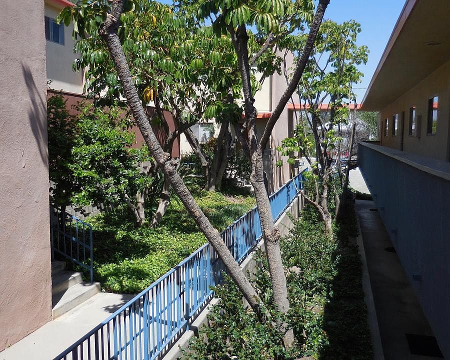 Beautifully Landscaped Common Area