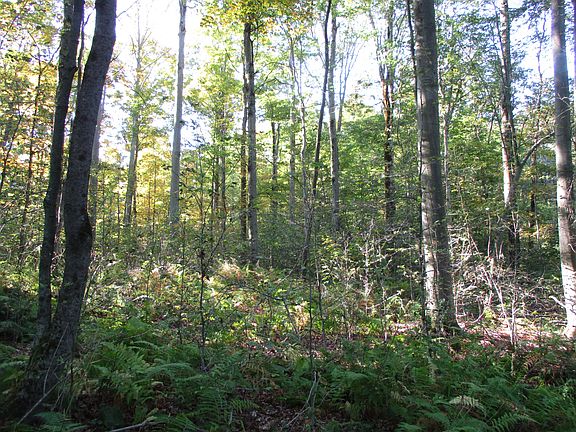 3rd image of County Road 5
