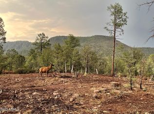 3496 N Mistletoe Dr #217A, Pine, AZ 85544