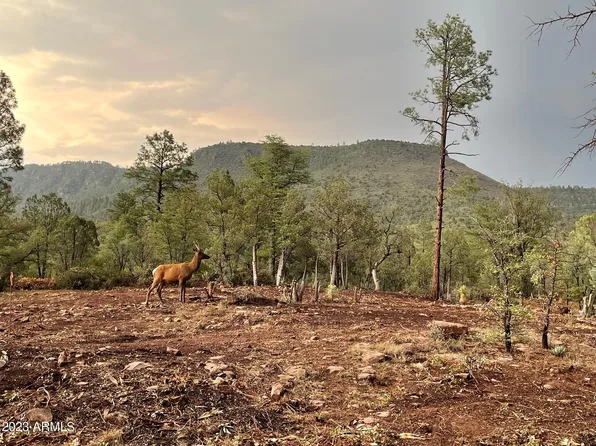 3496 N Mistletoe Drive #217A, Pine, AZ 85544