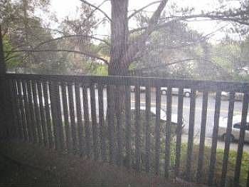 5th image of 1249 Shelter Creek Ln