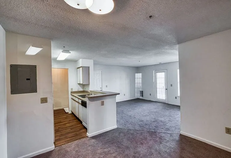 Open living area with plush carpeting
