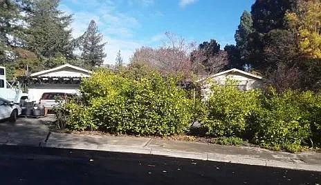 105 Villa Ct photo 1