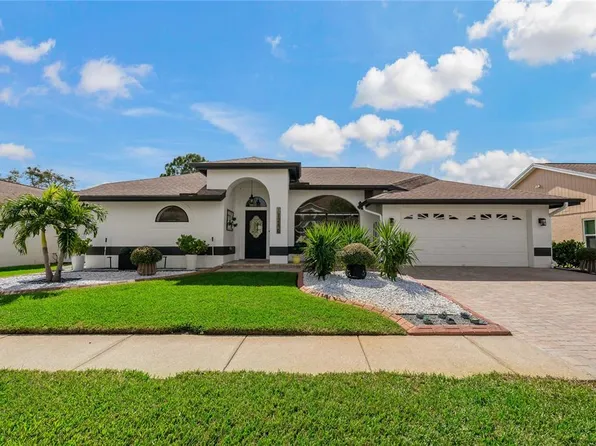 11216 Pocket Brook Dr, Tampa, FL 33635
