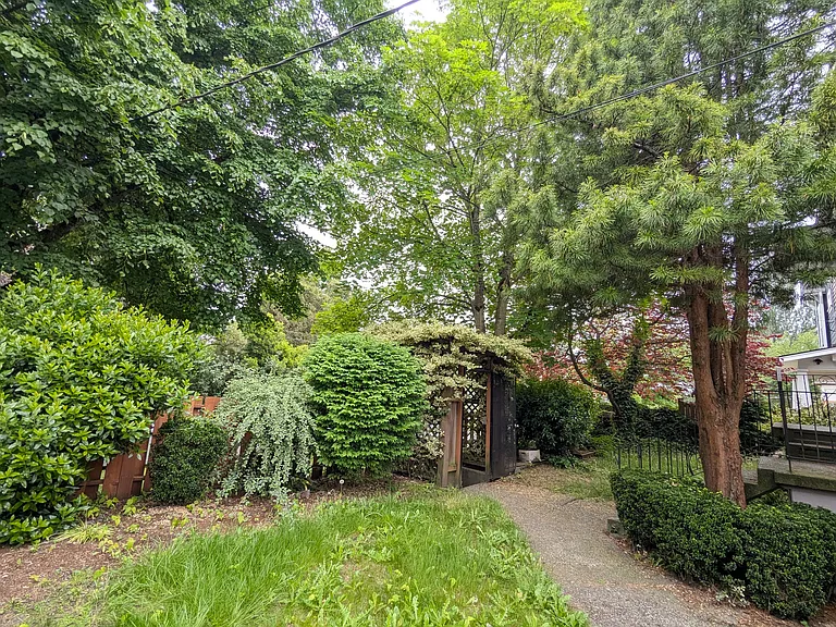 Front yard