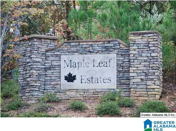 111 Maple Leaf Trl Unit 12, Wilsonville, AL 35186