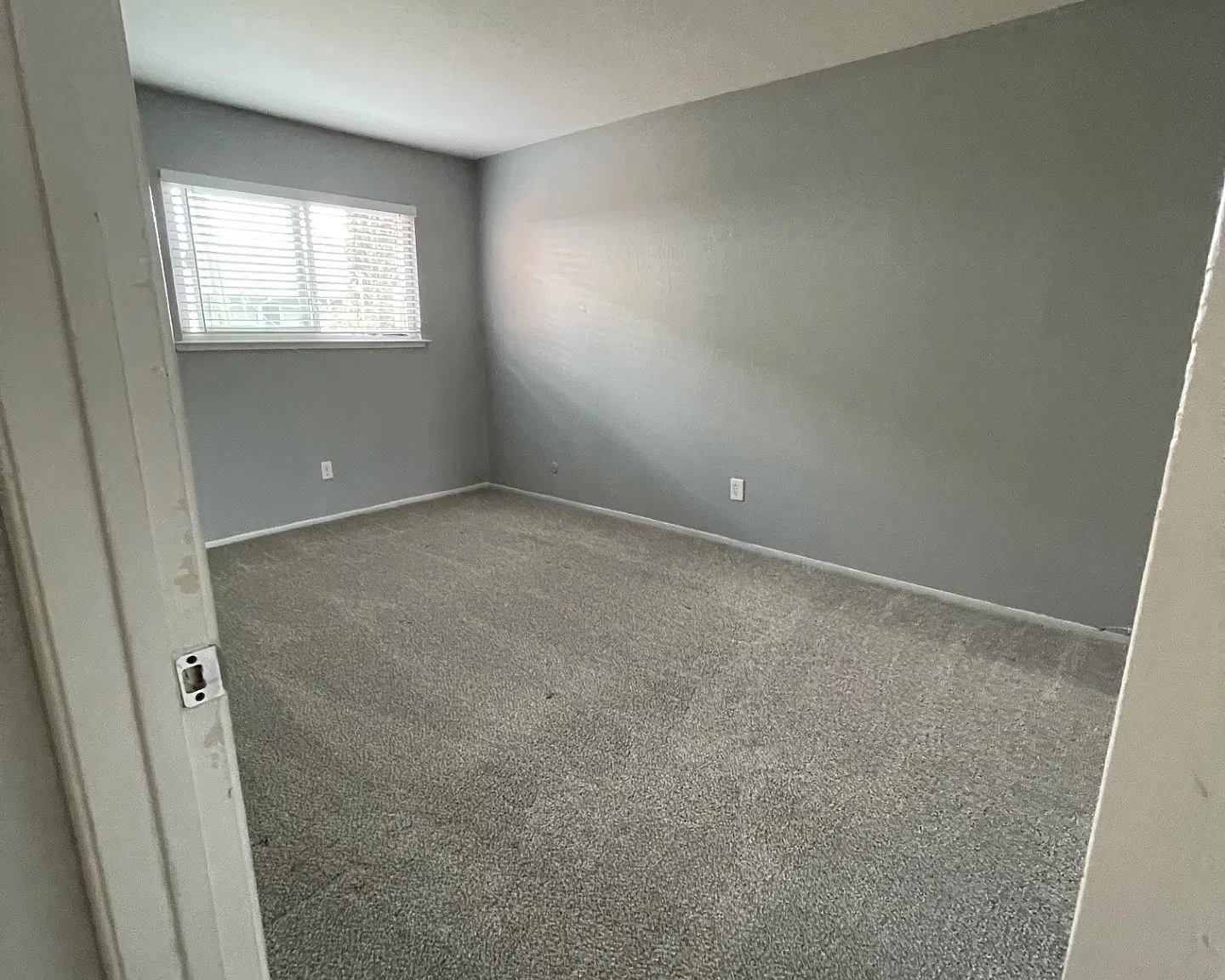 2 bed, $1,650 — Photo 4