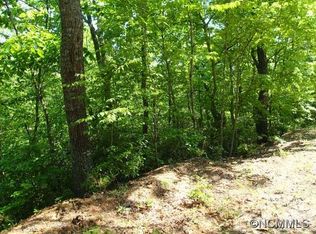 1090 Buffalo Shoals Rd, Lake Lure, NC 28746