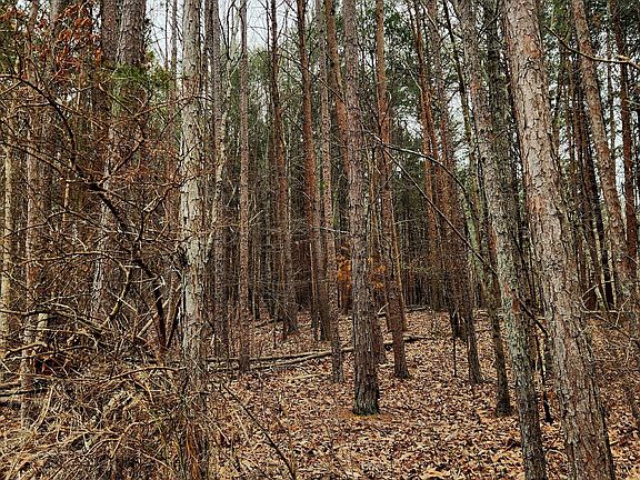 3rd image of 0 Highway 156 Lot 11