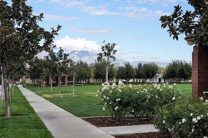 Walking path