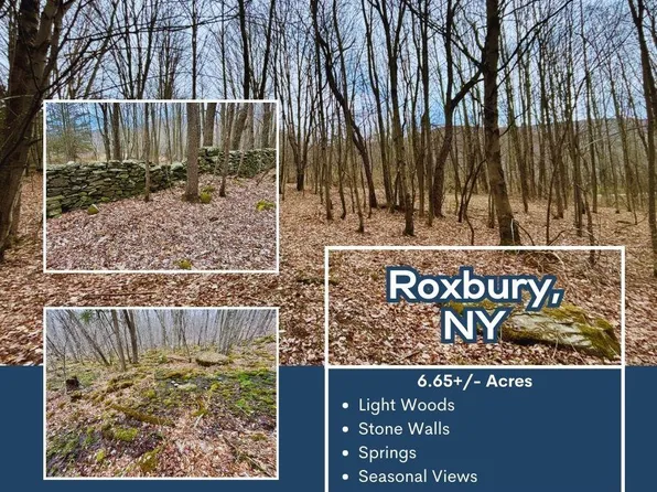 George Lawrence Road, Denver, NY 12474