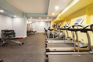 Rented by Bold New York