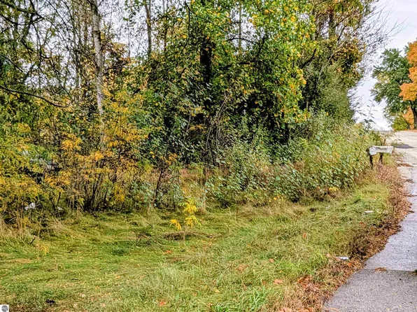 2495 W Blanchard Rd, Mount Pleasant, MI 48858