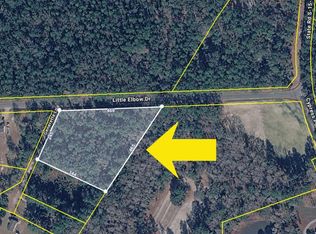 0 Little Elbow Dr, Walterboro, SC 29488