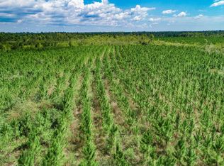 Xx1 Hwy #22, Wewahitchka, FL 32465
