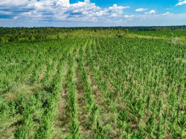 Xx1 Hwy #22, Wewahitchka, FL 32465