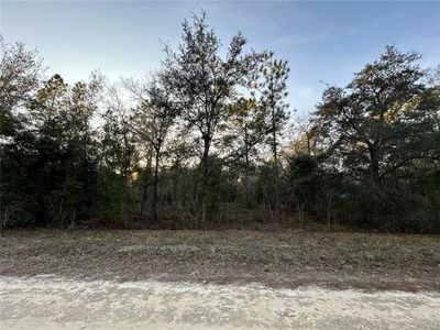 NE 123rd Ter Lot 4, Williston, FL, 32696