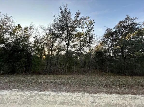 NE 123rd Ter Lot 4, Williston, FL 32696