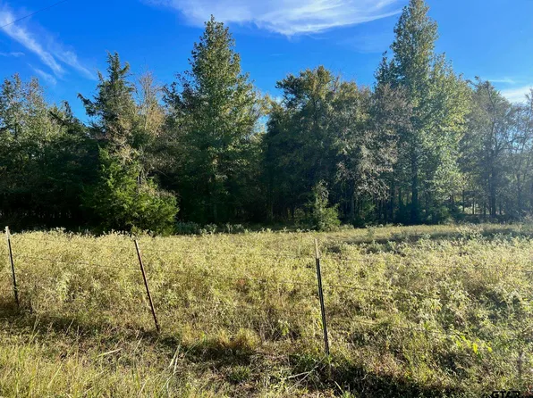 0 SW County Road 3170, Winnsboro, TX 75494