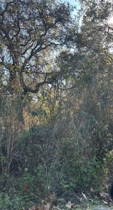 SE 19th St #7, Silver Springs, FL, 34488