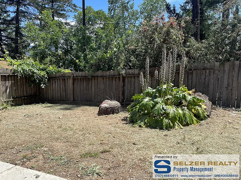 1420 Knob Hill Rd — Photo 9
