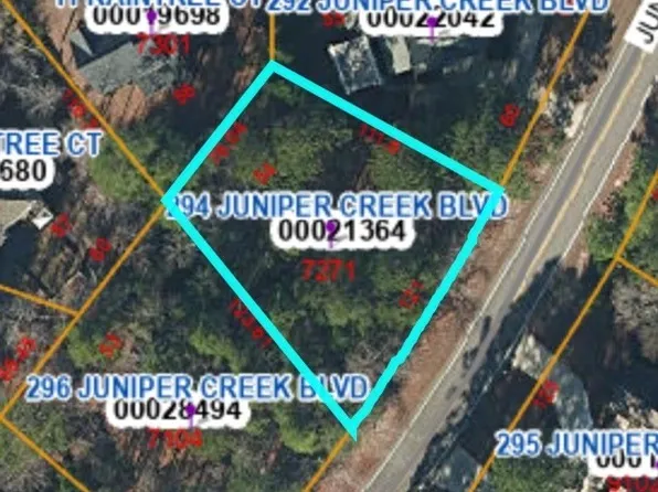 294 Juniper Creek Blvd, Pinehurst, NC 28374