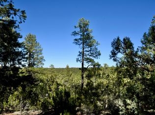 2981 Ranch House Rd, Overgaard, AZ 85933