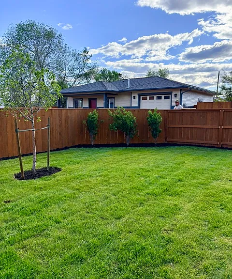 Back yard