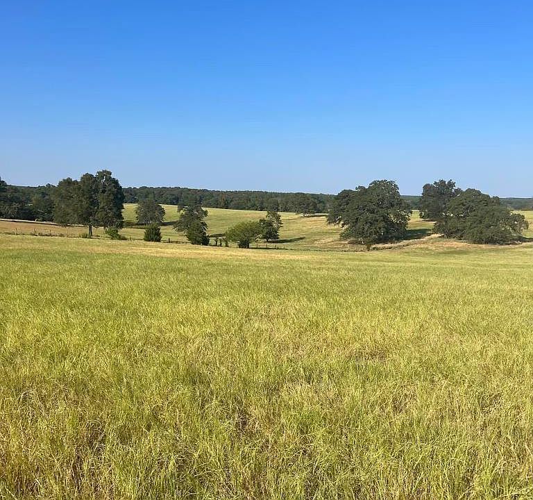 2nd image of County Road 3812 Tract 5